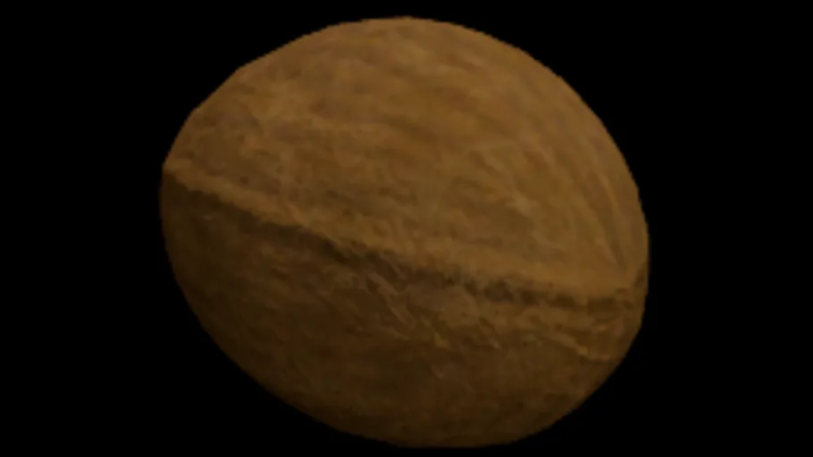 coconut