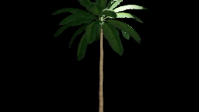 palm
