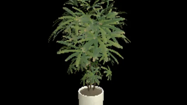 Plant 1