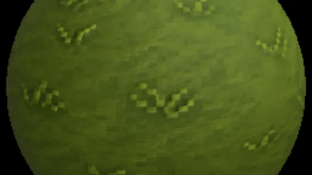 Grass