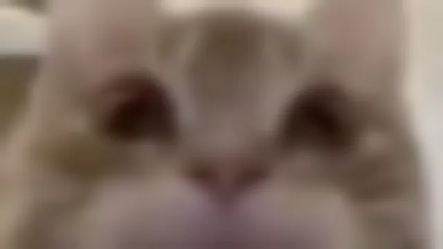 testing_amogus