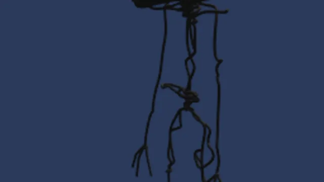 Bacteria entity