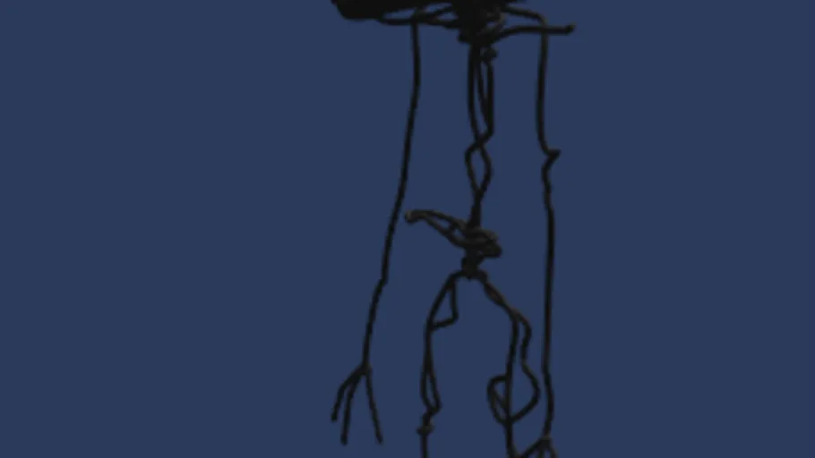 Bacteria entity