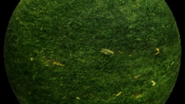 Grass For ya twin