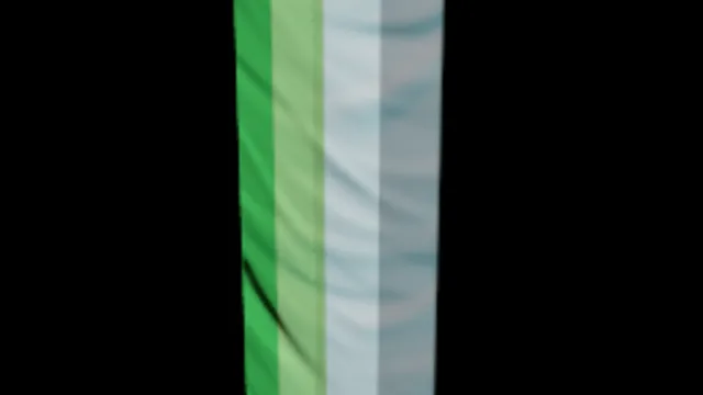 Aromantic Flag
