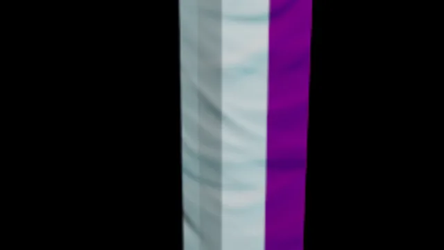Asexual Flag