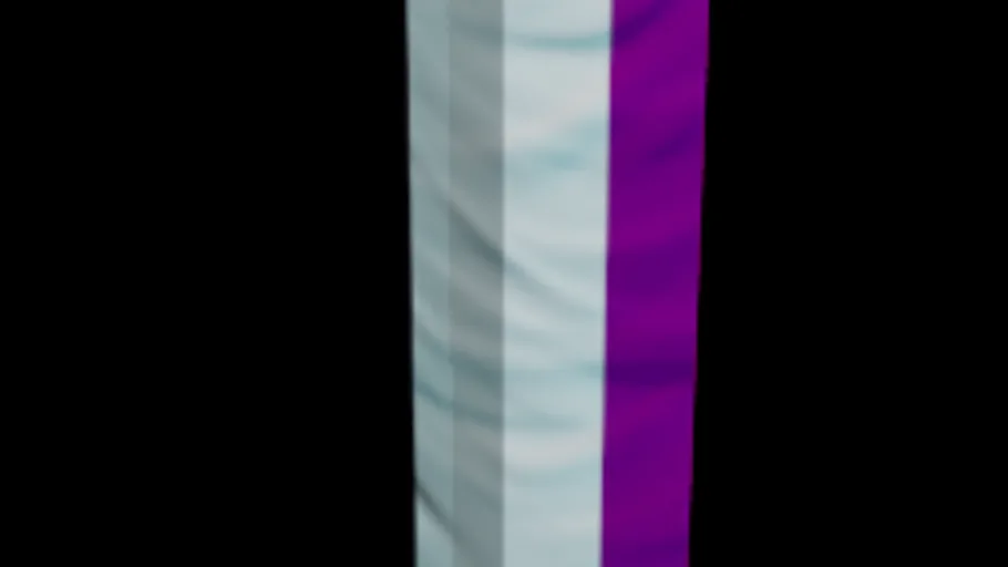 Asexual Flag
