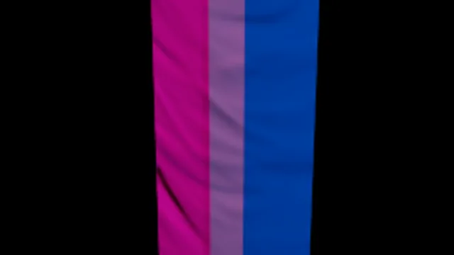 Bisexual Flag
