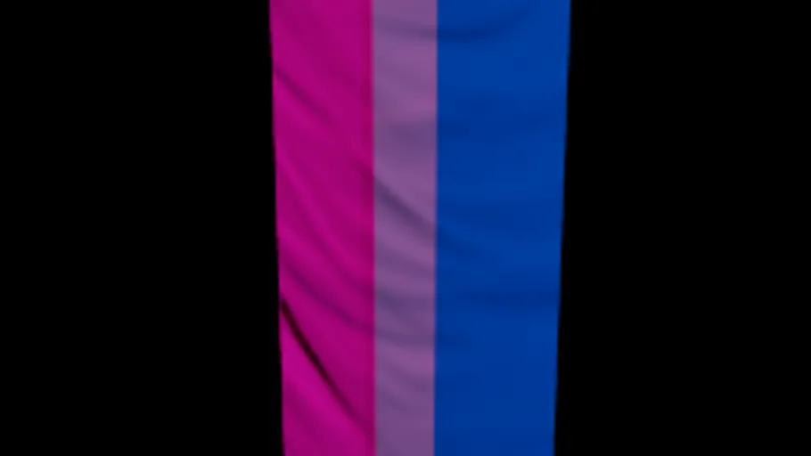 Bisexual Flag