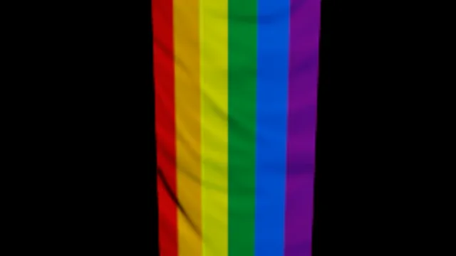 Gay Flag
