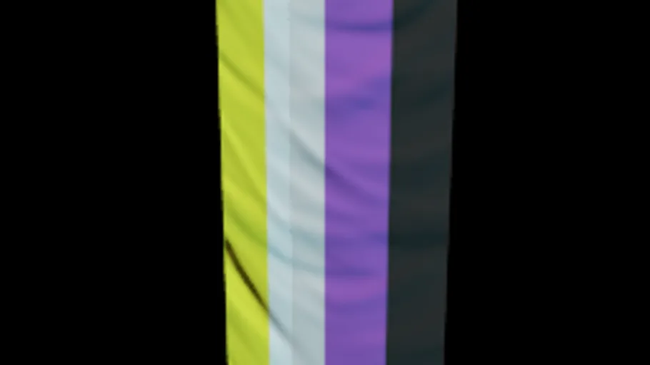 Nonbinary Flag