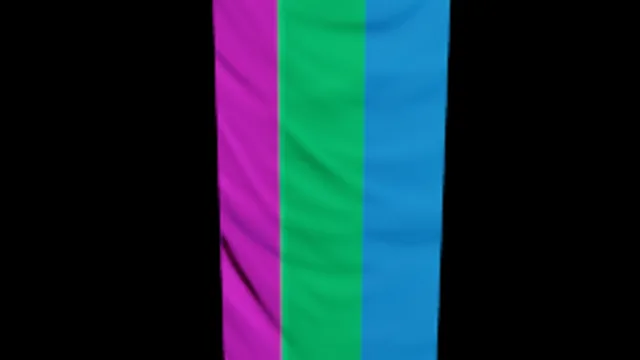 Polysexual Flag