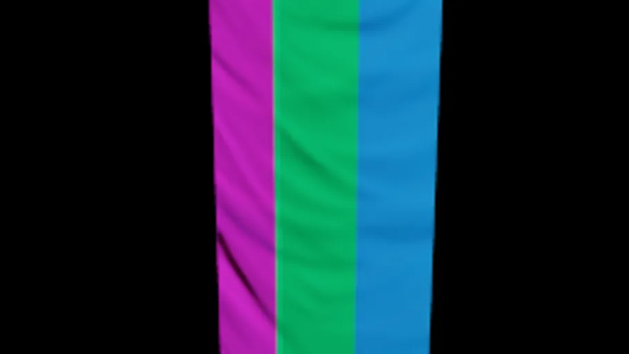 Polysexual Flag