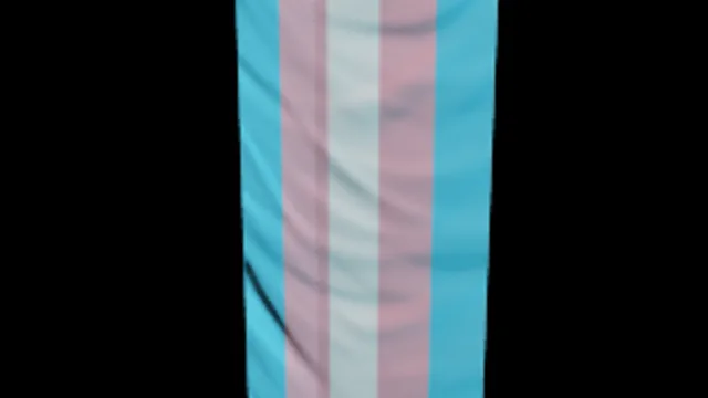 Transgender Flag
