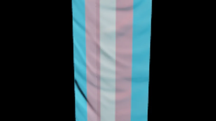 Transgender Flag