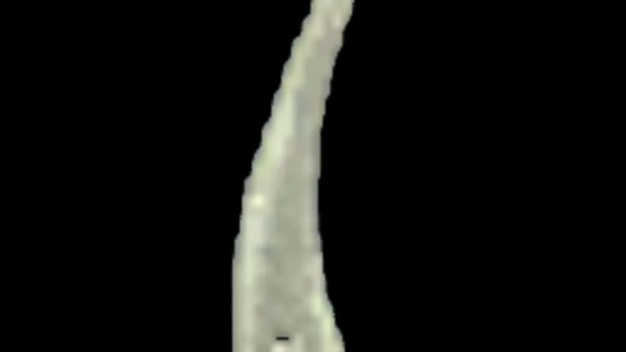 Infnum 1