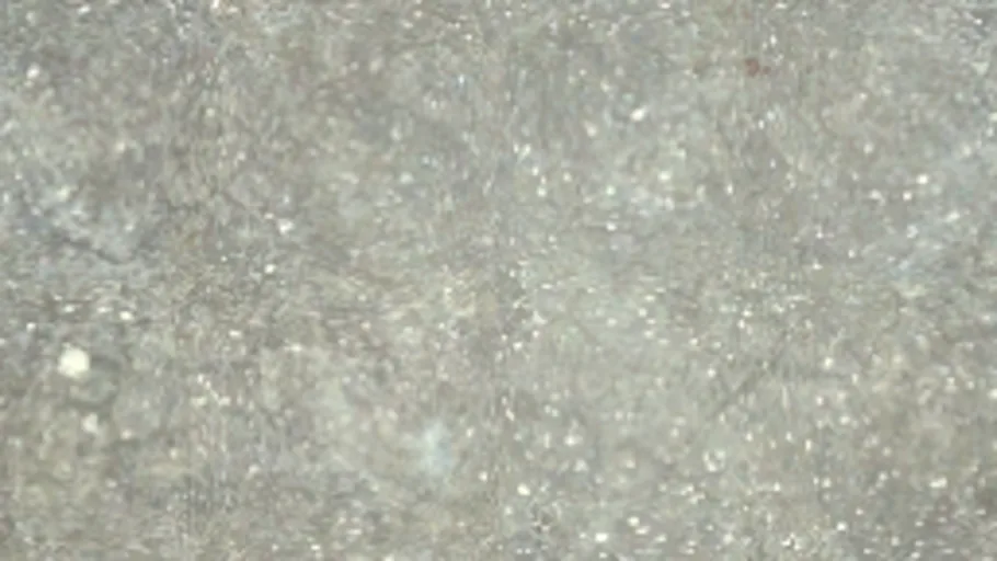 Concretefloor 005A