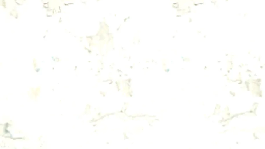 Plasterceiling 003A