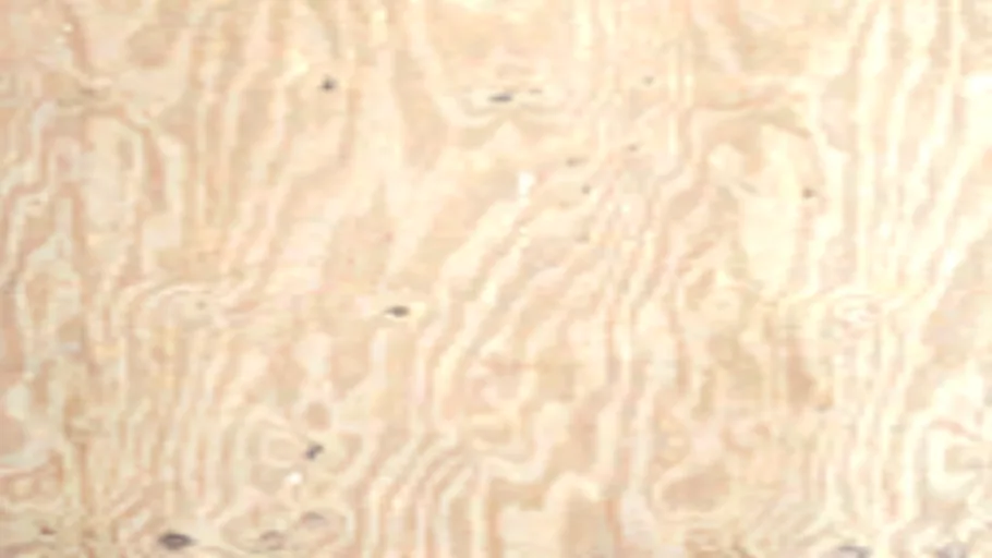 Woodshelf 008A