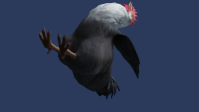 chicken_reference