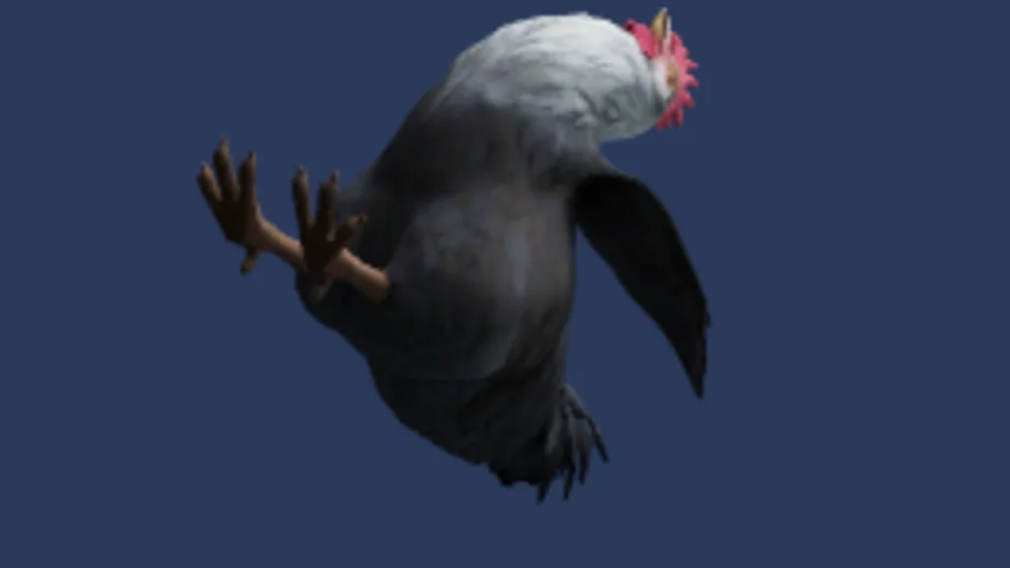 chicken_reference