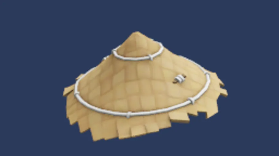 Hong Kong Cone Hat