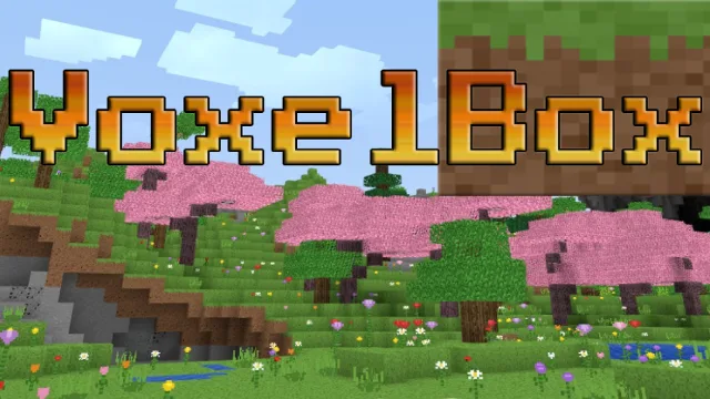 VoxelBox